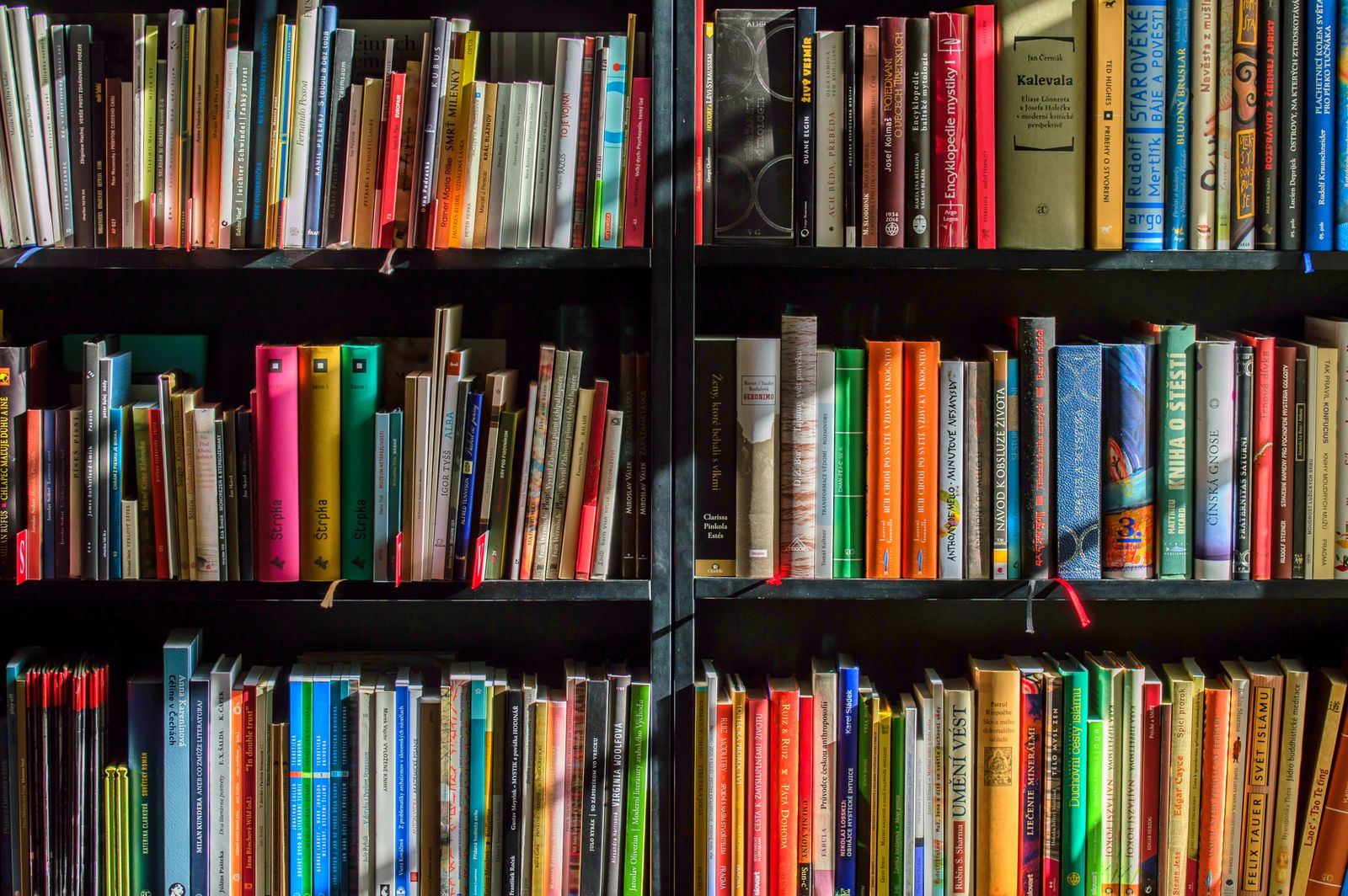 Estante colorida de livraria